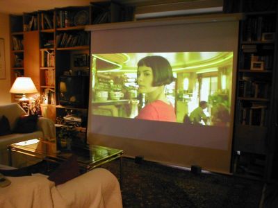 Heimkino Lichtbildwand